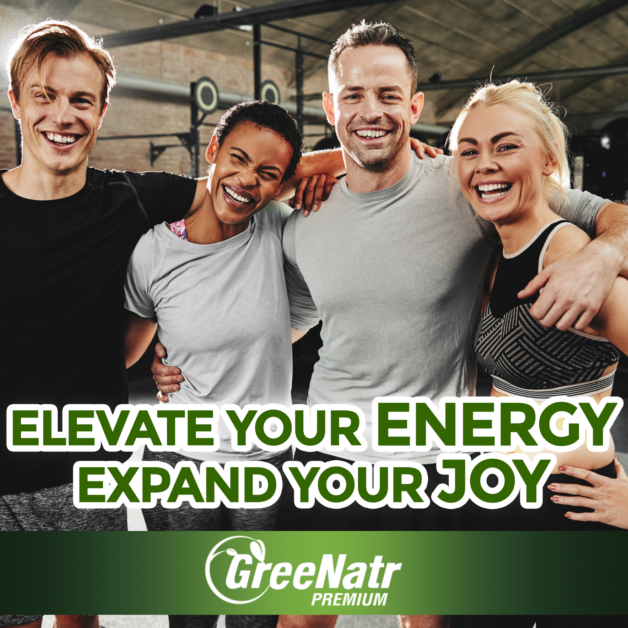 Ginseng and Ginkgo Biloba Cognitive Support (60 Tablets)