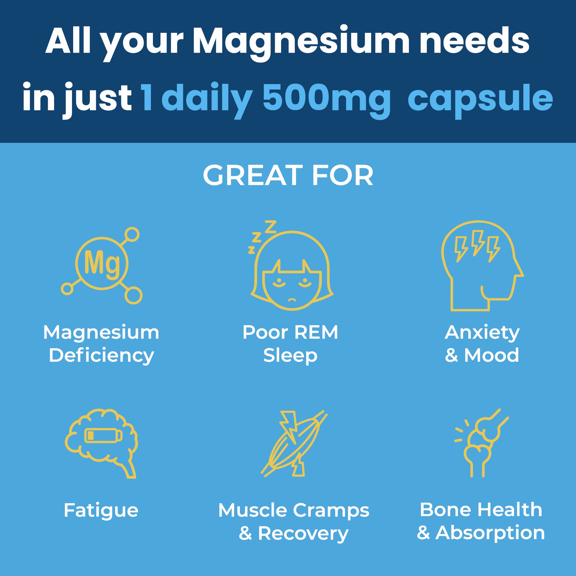 SLEEP & RELAX BUNDLE: Ginseng & Ginkgo Biloba + Magnesium Complex